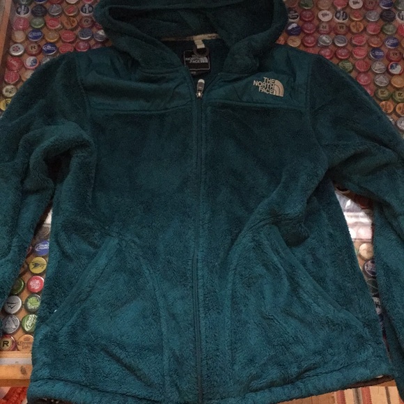 Teal North Face Osito jacket - Picture 1 of 2